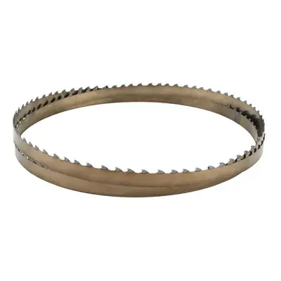 IGM Carbide RESAWKING Pilový pás 2368mm - 20 x 0,6mm 1,5-2Tpi Kup Teď